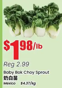 Btrust Supermarket Baby Bok Choy Sprout offer