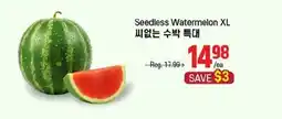 Galleria Supermarket Seedless Watermelon XL offer