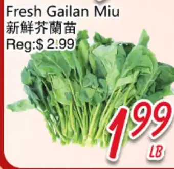 Foody Mart Fresh Gailan Miu offer