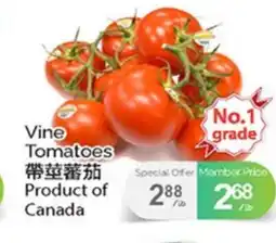 T&T Supermarket VINE TOMATOES offer