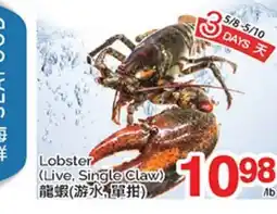T&T Supermarket LOBSTER (LIVE, SINGLE CLAW) offer