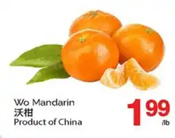 T&T Supermarket WO MANDARIN offer