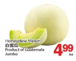 T&T Supermarket HONEYDEW MELON, JUMBO offer
