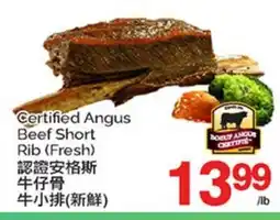 T&T Supermarket CERTIFIED ANGUS BEEF SHORT RIB offer