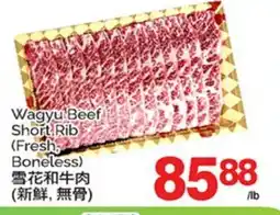 T&T Supermarket WAGYU BEEF SHORT RIB offer