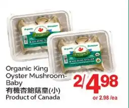 T&T Supermarket ORGANIC KING OYSTER MUSHROOM-BABY offer