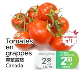 T&T Supermarket TOMATES EN GRAPPES offer