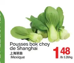 T&T Supermarket POUSSES BOK CHOY DE SHANGHAI offer