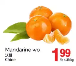 T&T Supermarket MANDARINE WO offer