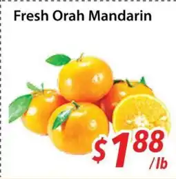 Bestco Food Mart Fresh Orah Mandarin offer