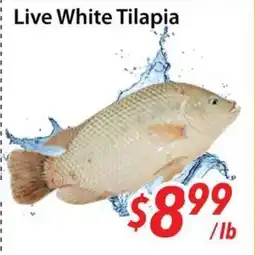 Bestco Food Mart Live White Tilapia offer