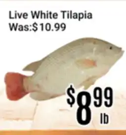Nations Fresh Foods Live White Tilapia offer