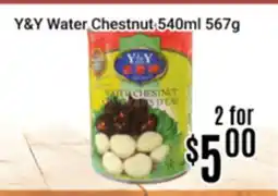 Nations Fresh Foods Y&Y Water Chestnut offer