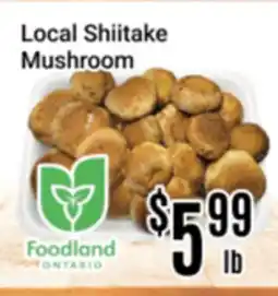 Nations Fresh Foods Local Shiitake Mushroom offer