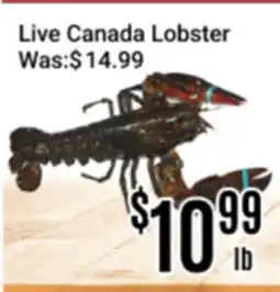 Nations Fresh Foods Live Canada Lobster offer