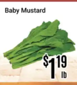Nations Fresh Foods Baby Mustard offer