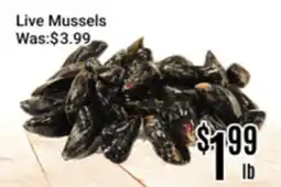 Nations Fresh Foods Live Mussels offer