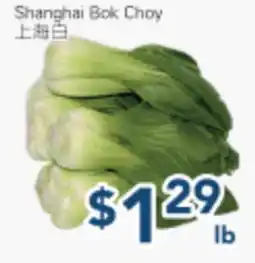 Oceans Fresh Food Market Shanghai Bok Choy offer