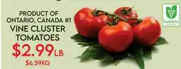 Fiesta Farms VINE CLUSTER TOMATOES offer