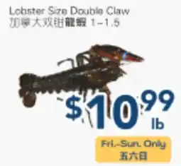 Oceans Fresh Food Market Lobster Size Double Claw offer