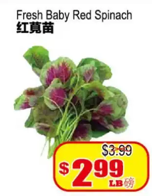Yuan Ming Supermarket Fresh Baby Red Spinach offer