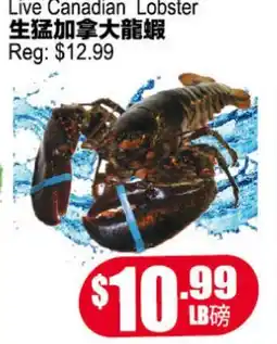 Yuan Ming Supermarket Live Canadian Lobster offer