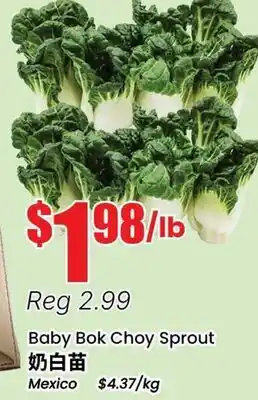 Terra Foodmart Baby Bok Choy Sprout offer