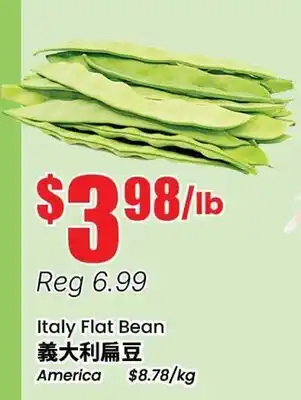 Terra Foodmart Italy Flat Bean offer