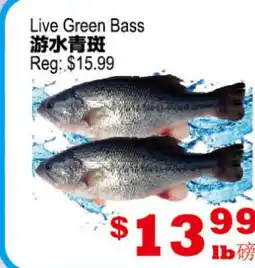 Yuan Ming Supermarket Live Green Bass offer