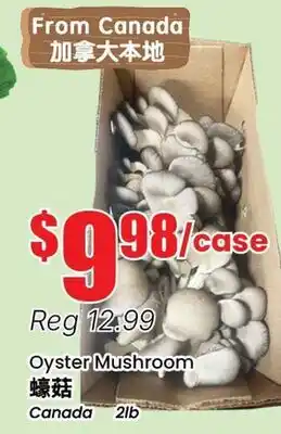 Terra Foodmart Oyster Mushroom offer