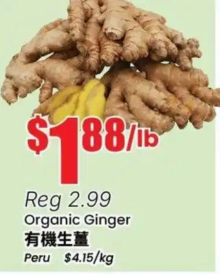 Terra Foodmart Organic Ginger offer