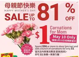 Terra Foodmart Carnations for Mom offer
