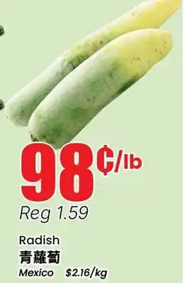 Terra Foodmart Radish offer
