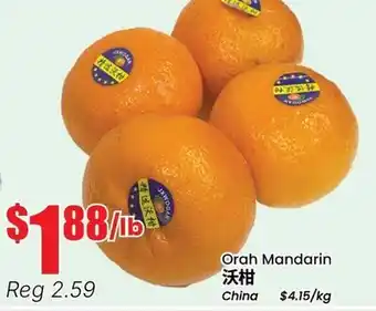 Terra Foodmart Orah Mandarin offer