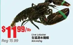 Terra Foodmart Live Lobster offer