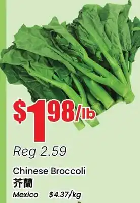 Terra Foodmart Chinese Broccoli offer