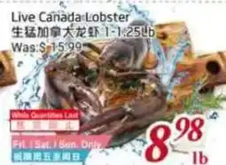 Tone Tai Supermarket Live Canada Lobster offer