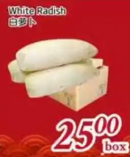 Tone Tai Supermarket White Radish offer
