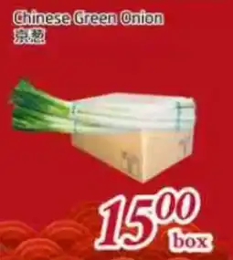 Tone Tai Supermarket Chinese Green Onion offer