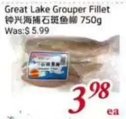 Tone Tai Supermarket Great Lake Grouper Fillet offer
