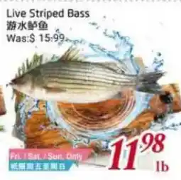 Tone Tai Supermarket Live Striped Bass offer