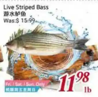 Tone Tai Supermarket Live Striped Bass offer