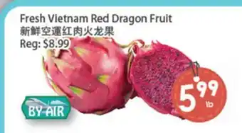 Fresh Palace Supermarket Fresh Vietnam Red Dragon Fruit offer