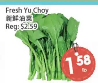 Fresh Palace Supermarket Fresh Yu Choy offer