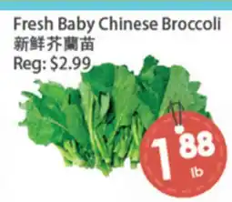 Fresh Palace Supermarket Fresh Baby Chinese Broccoli offer