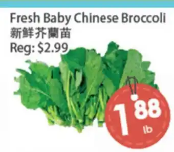 Fresh Palace Supermarket Fresh Baby Chinese Broccoli offer