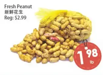 Fresh Palace Supermarket Fresh Peanut offer