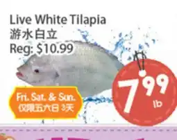 Fresh Palace Supermarket Live White Tilapia offer
