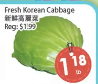 Fresh Palace Supermarket Fresh Korean Cabbage offer