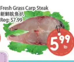 Fresh Palace Supermarket Fresh Grass Carp Steak offer